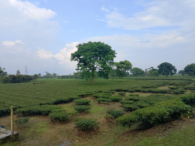 1000050681.jpg