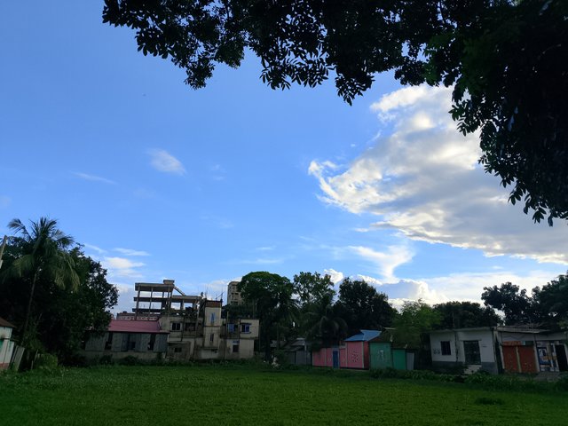 1000022290.jpg