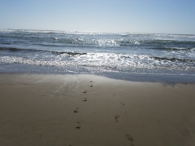 footprints on beach.jpg