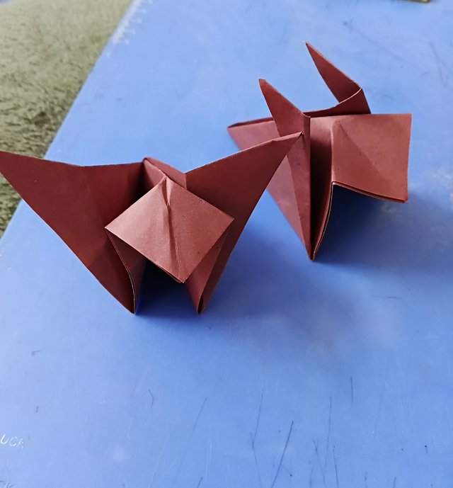 6824.jpg