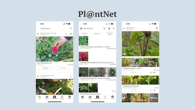 PlantNet.png