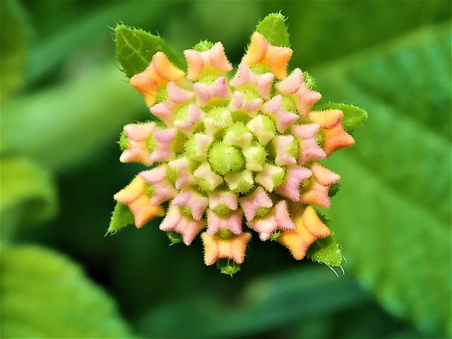 IMG_20180516_115457.jpg