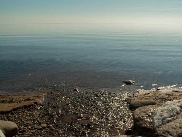 PICT0171.jpg