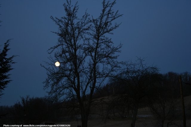 FullMoonAndDarkTree-030217.jpg