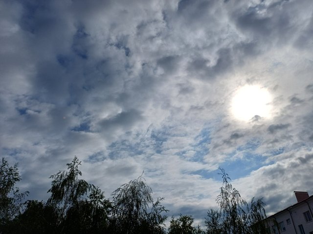 20250628_083121.jpg