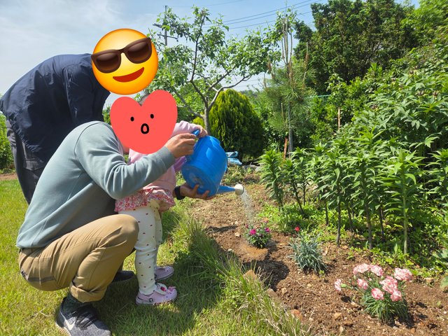20250518_110706.jpg