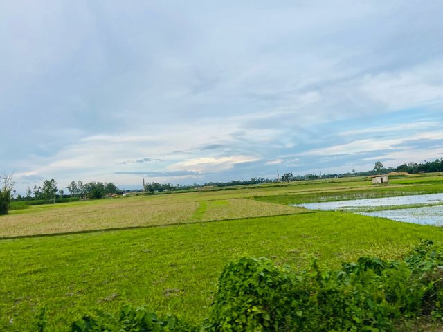 IMG-20250704-WA0003.jpg