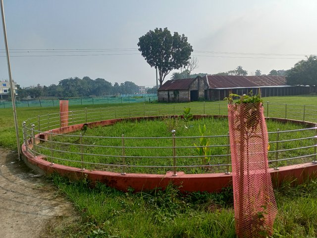 IMG20251012082636.jpg