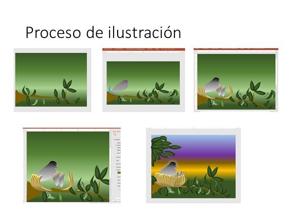 Proceso de ilustración.jpg