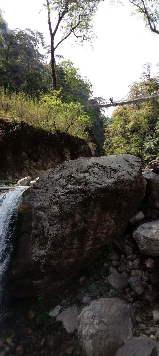 20250503_100124.jpg
