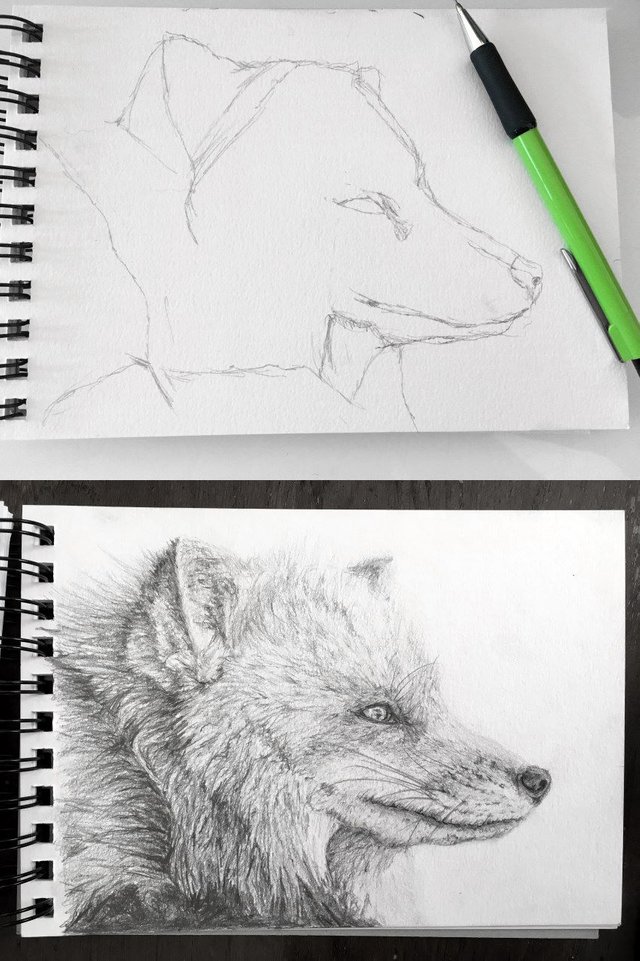 fox-mechanical-pencil-sketch.jpg