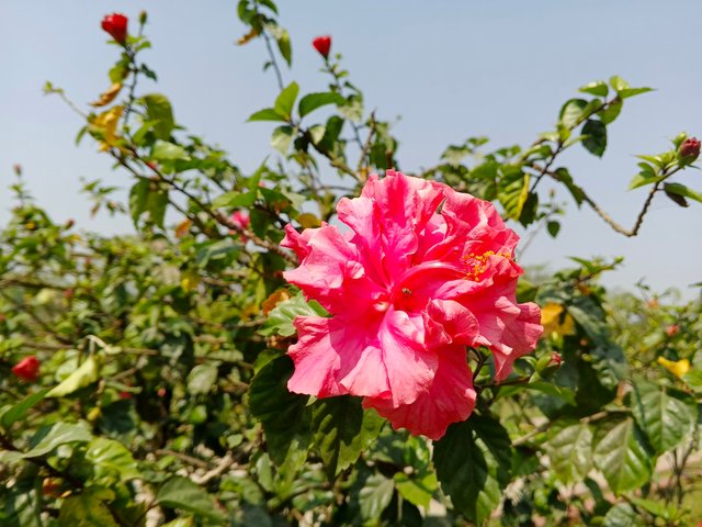 IMG_20250304_113043_109.jpg
