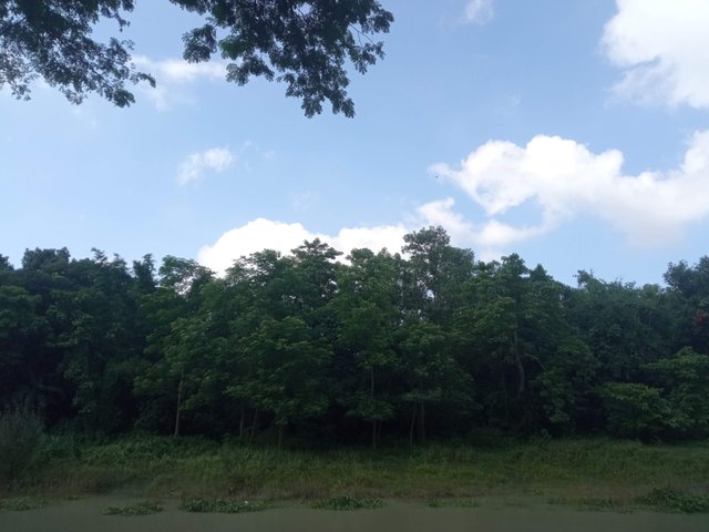 IMG_20250627_151508.jpg