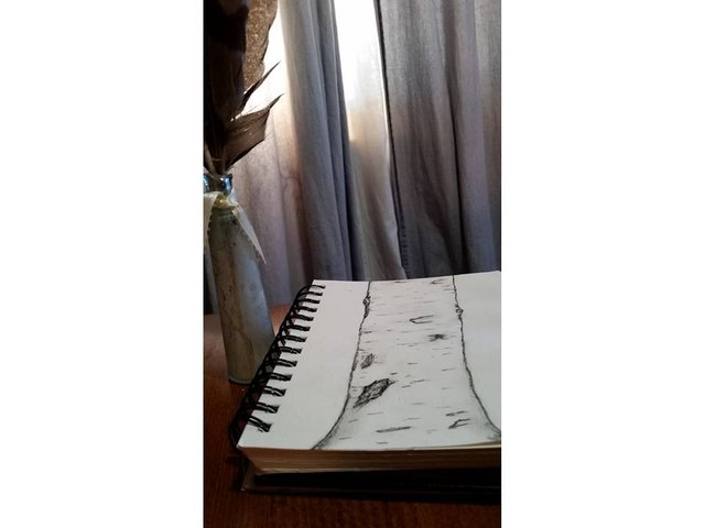 Notebook by the window white.jpg