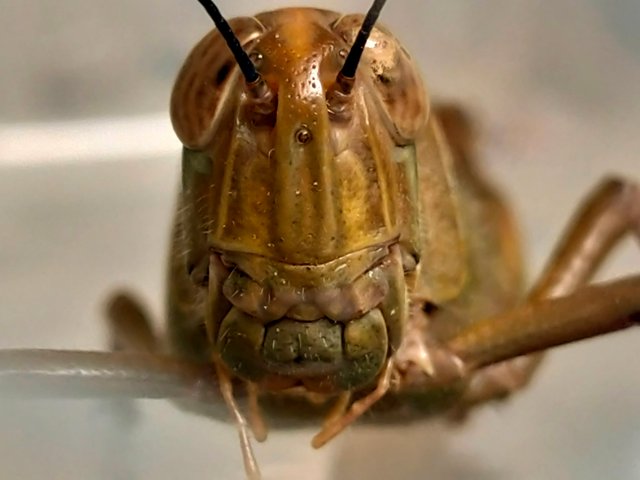 IMG20230924131610.jpg