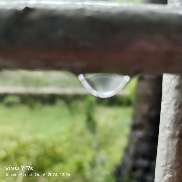 1000186175.jpg