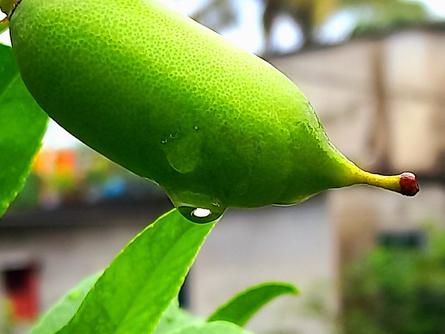 20250616_204611.jpg