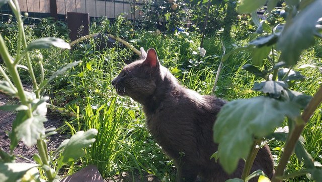 IMG_9923.jpeg
