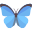 butterfly (8).png