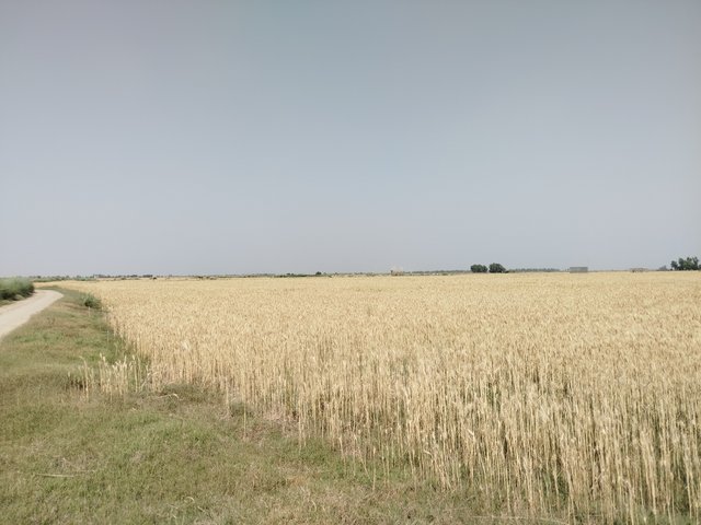 IMG_20250414_142725.jpg