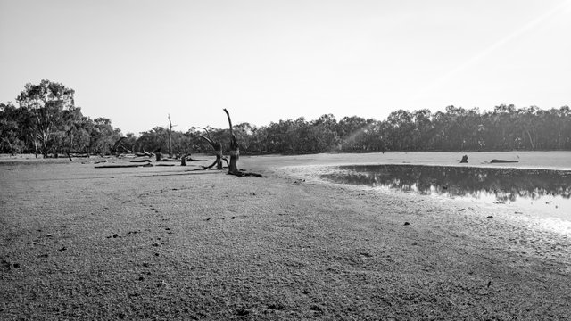 20250510_153544.jpg