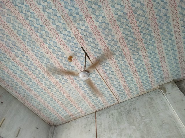 1000055449.jpg