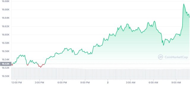 BTC_1D_graph_coinmarketcap.jpg