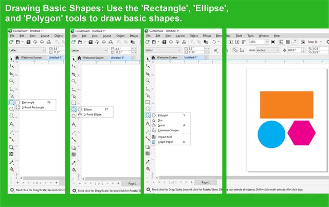 A Step-by-Step Guide corel Drawing Basic Shapes.jpg