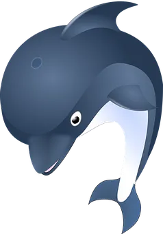 dolphin-41436__340.webp