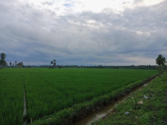 IMG20221222173456.jpg