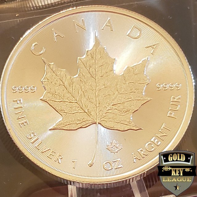 GK_PC_US_2021_BU_Maple_SILVERCOIN_APX_VER01_04.jpg