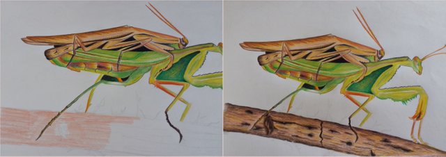 DIBUJOS MANTIS Combinados 5  035-tile.jpg