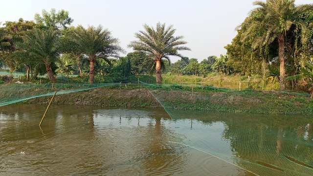 IMG_20231121_082618_7.jpg