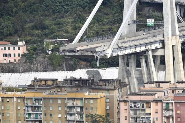 pone-case-genova.jpg