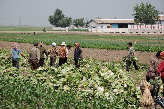 North_Korea-Sariwon_Migok_Farm-01.jpg