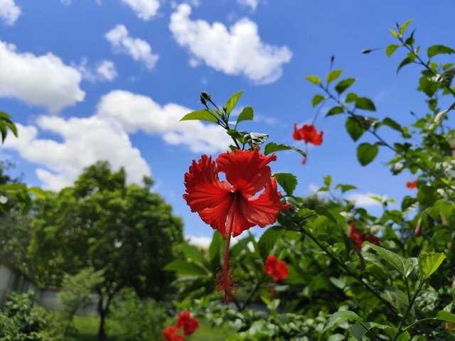 IMG_20250708_130134.jpg