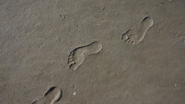 footprint-2143685_1280.jpg