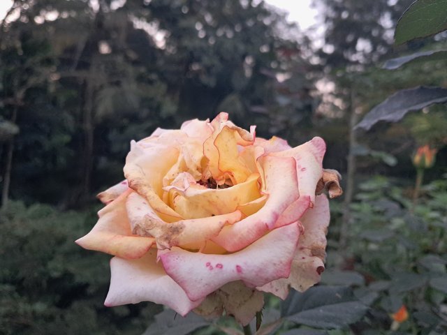 20240105_172125.jpg