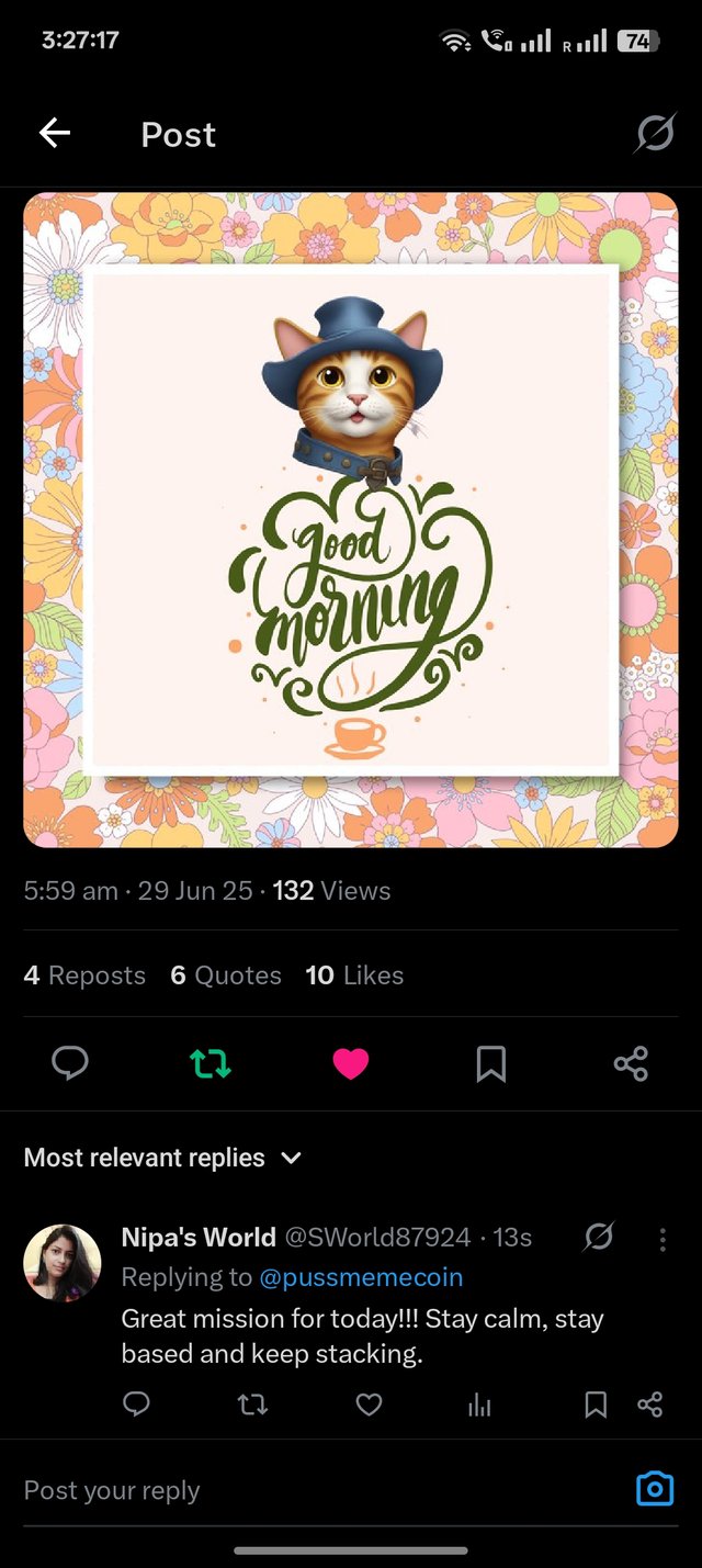 1000049049.jpg