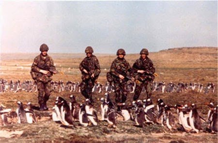 Inggris-dan-Argentina-Berperang,-Penguin-yang-Menang.jpg