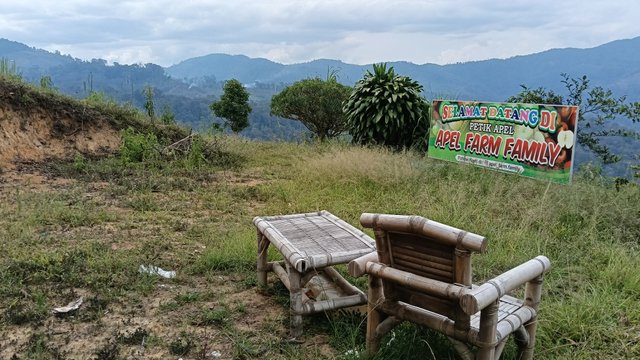 IMG20250727162827.jpg