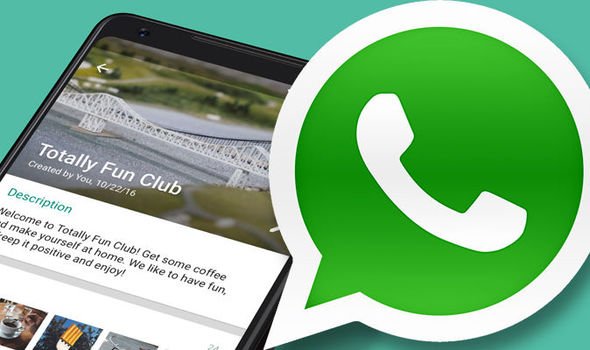 WhatsApp-group-chat-update-962481.jpg