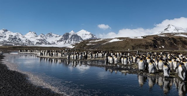 South Sandwich Islands 1.jpg