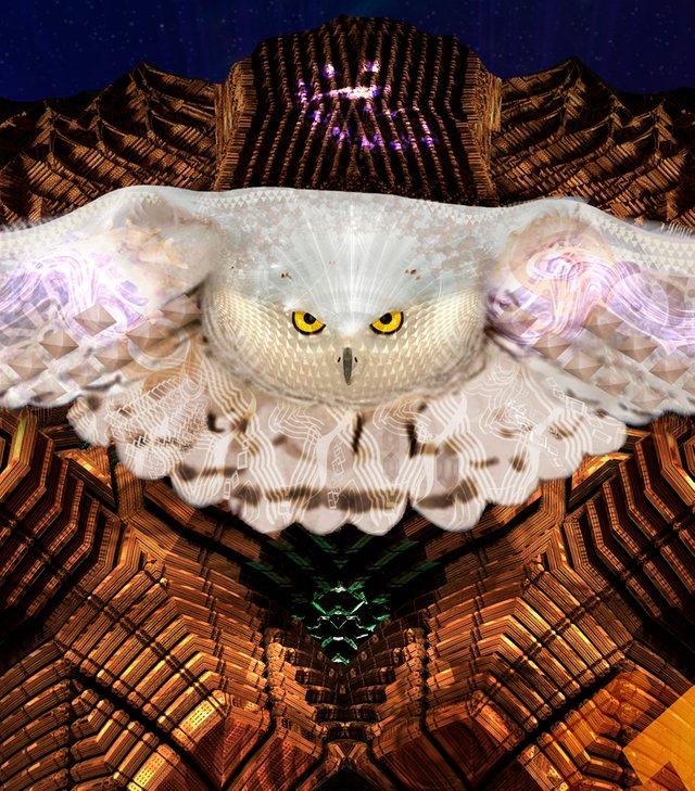 Snow Owl Detail.jpg