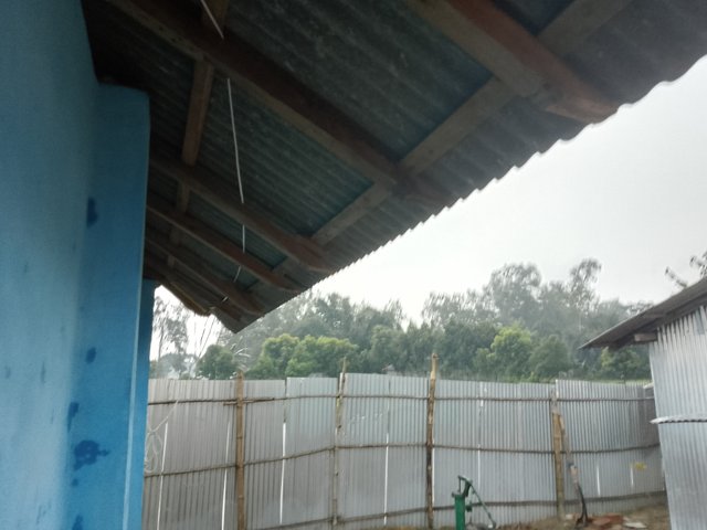 1000047628.jpg