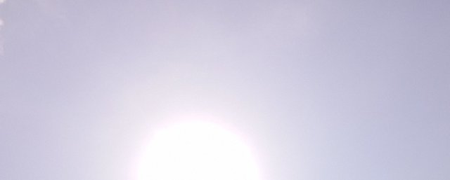 IMG_20250127_103810_145.jpg