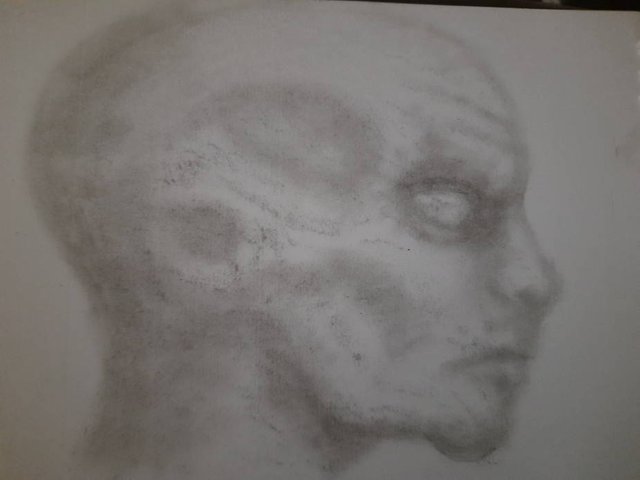 20250624_101347.jpg