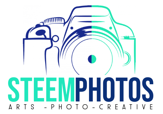 Copy of Photography Logo Template - Made with PosterMyWall.png