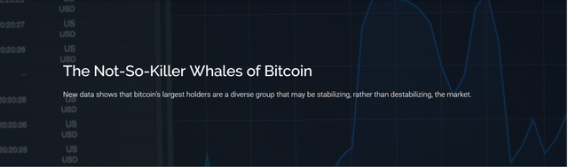 Chainalysis Blog   The Not-So-Killer Whales of Bitcoin.png