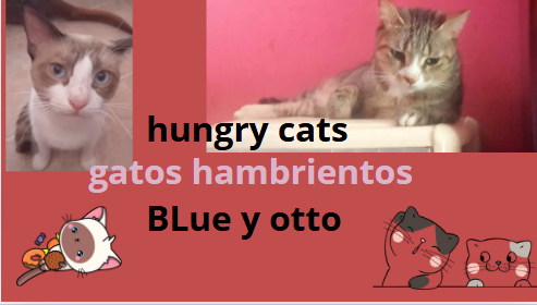blueyotto.PNG
